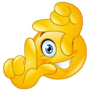 Meet your Posher, Vincent